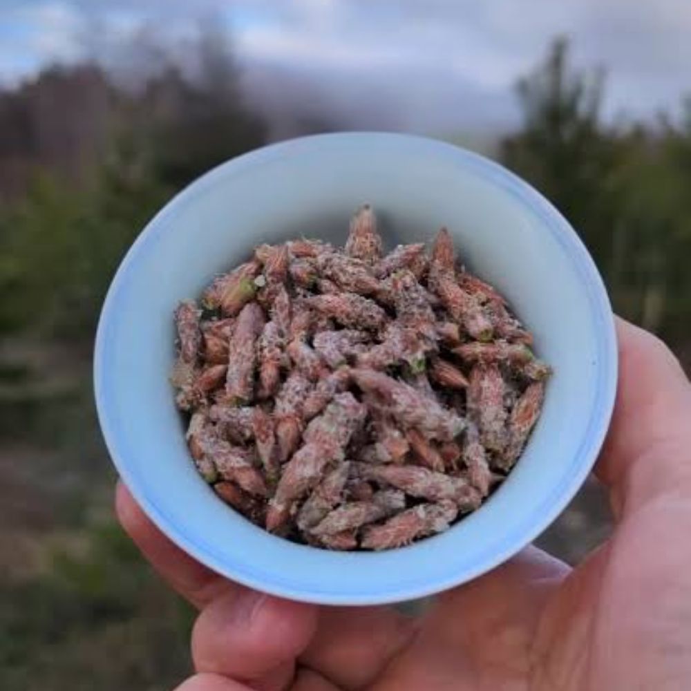 Ingredientes naturales y hábitos saludables